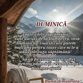 Simion Victoras